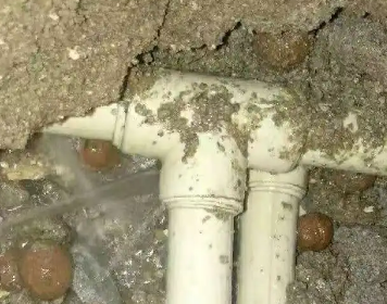 桑植测漏水多少钱