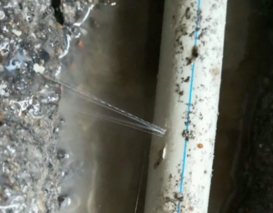 桑植测漏水哪家好