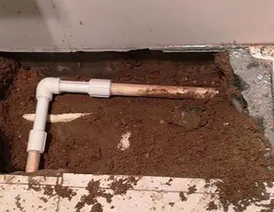 桑植测漏水哪家好