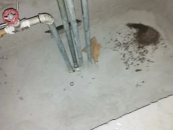 桑植卫生间测漏水价格明细