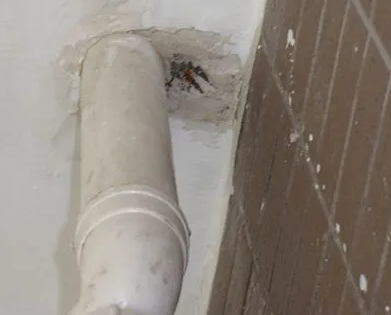 桑植漏水检测哪家好